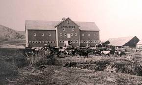 A large building with cows in front AI-generated content may be incorrect.